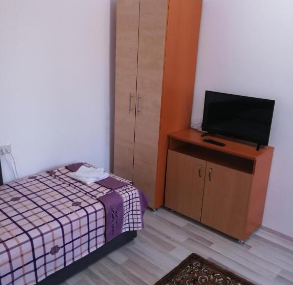 חדר דלוקס לארבעה, Vila Baciu