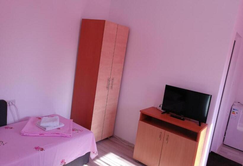 חדר דלוקס לארבעה, Vila Baciu