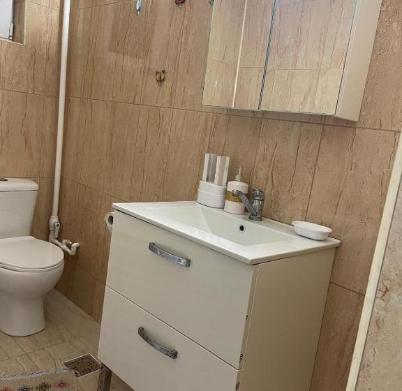 דירת שני חדרים, Vila Baciu