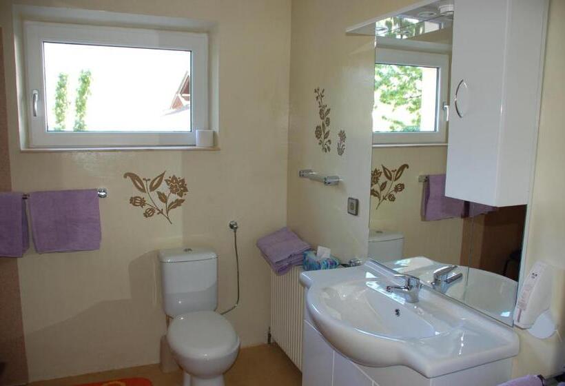 带1个卧室的高级公寓, Pension Unterhof