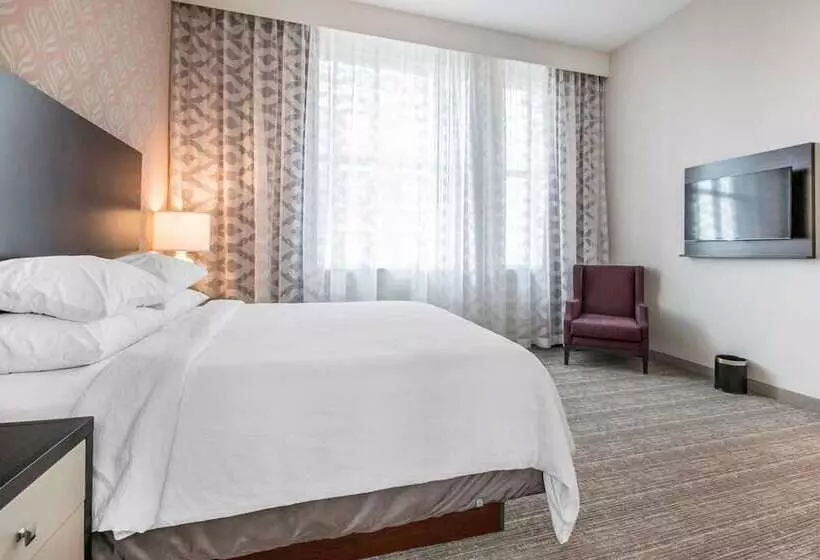 スイート, Embassy Suites By Hilton San Marcos Hotel Conference Center