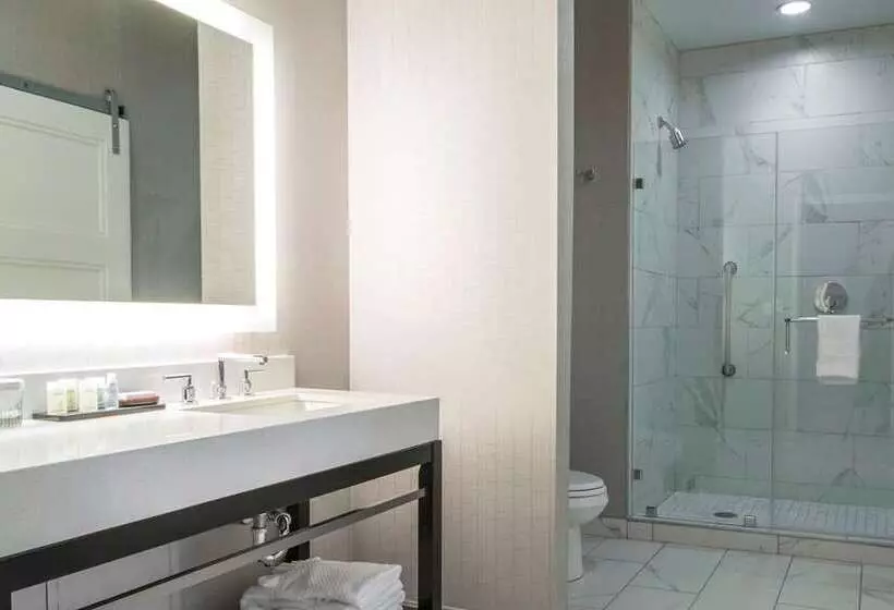 スイート, Embassy Suites By Hilton San Marcos Hotel Conference Center