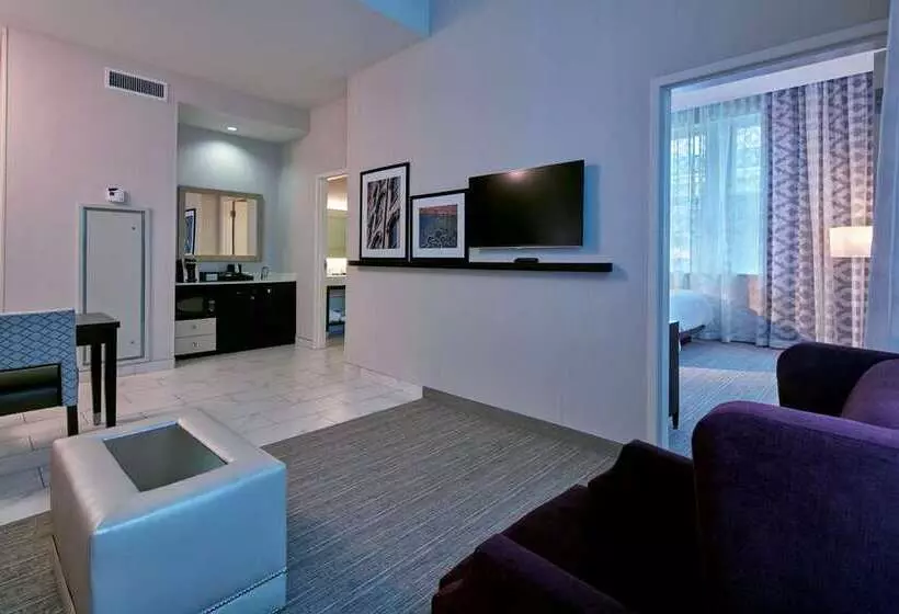 スイート, Embassy Suites By Hilton San Marcos Hotel Conference Center