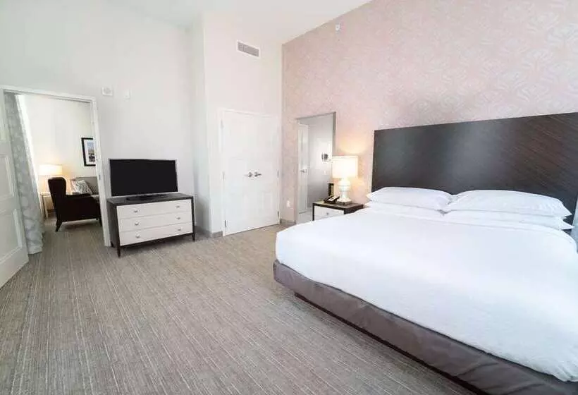 スイート, Embassy Suites By Hilton San Marcos Hotel Conference Center