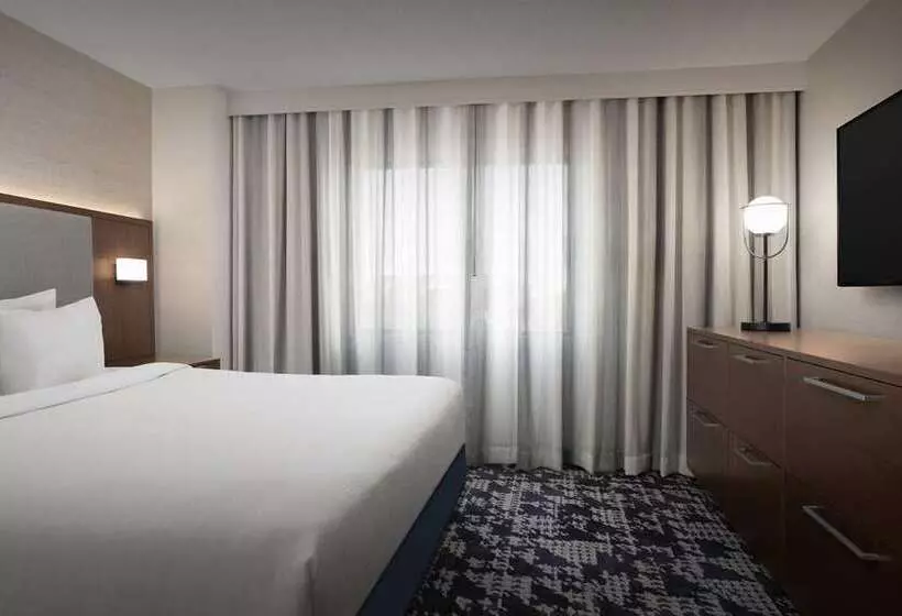 キングサイズベッドのスイートルーム, Embassy Suites By Hilton San Marcos Hotel Conference Center