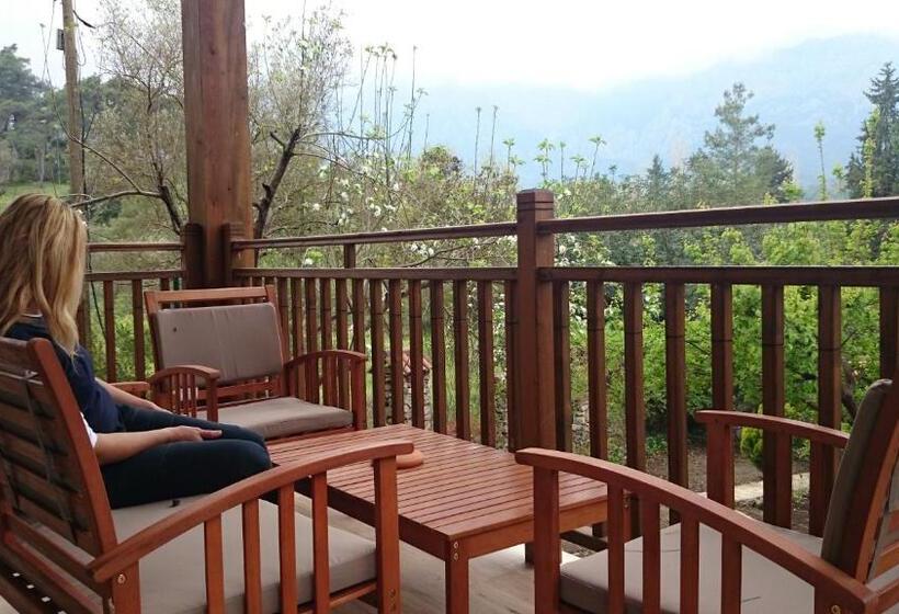 スタンダードルーム, Berke Ranch & Nature