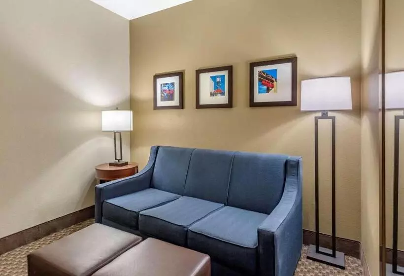 キングサイズベッドのスイートルーム, Comfort Suites
