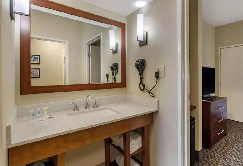 キングサイズベッドのスイートルーム, Comfort Suites