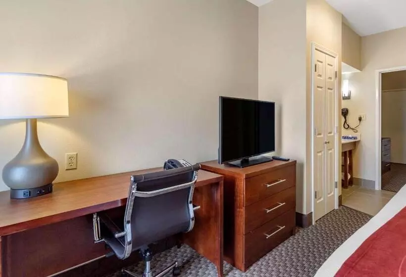 キングサイズベッドのスイートルーム, Comfort Suites