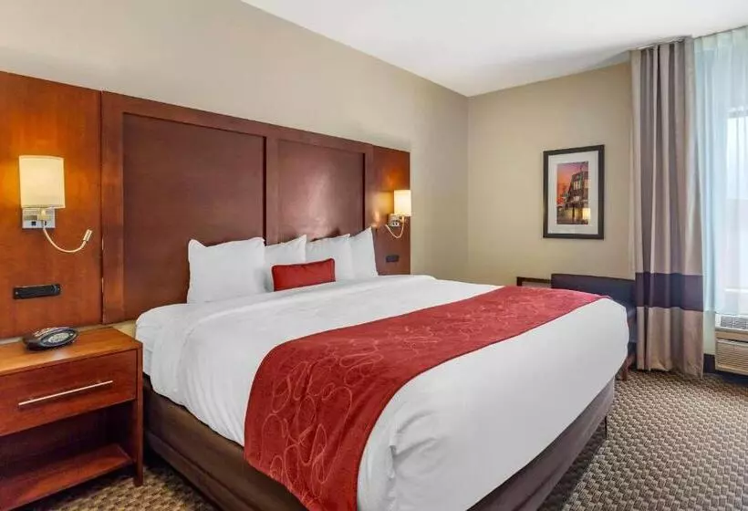 キングサイズベッドのスイートルーム, Comfort Suites