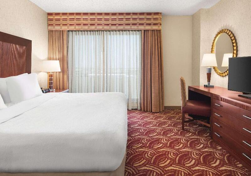 带大床的套房, Embassy Suites By Hilton San Marcos Hotel Conference Center