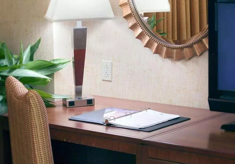 キングサイズベッドのスイートルーム, Embassy Suites By Hilton San Marcos Hotel Conference Center