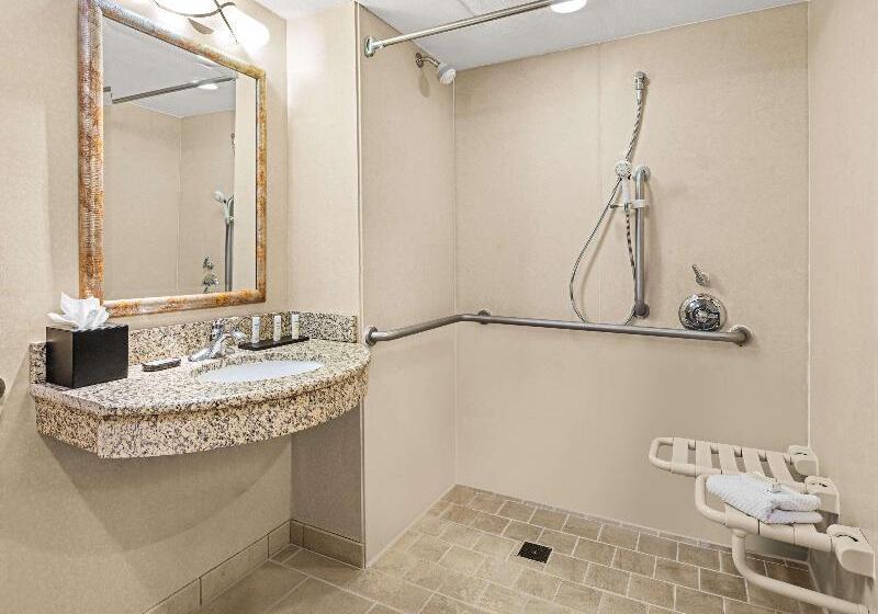 带大床的套房, Embassy Suites By Hilton San Marcos Hotel Conference Center