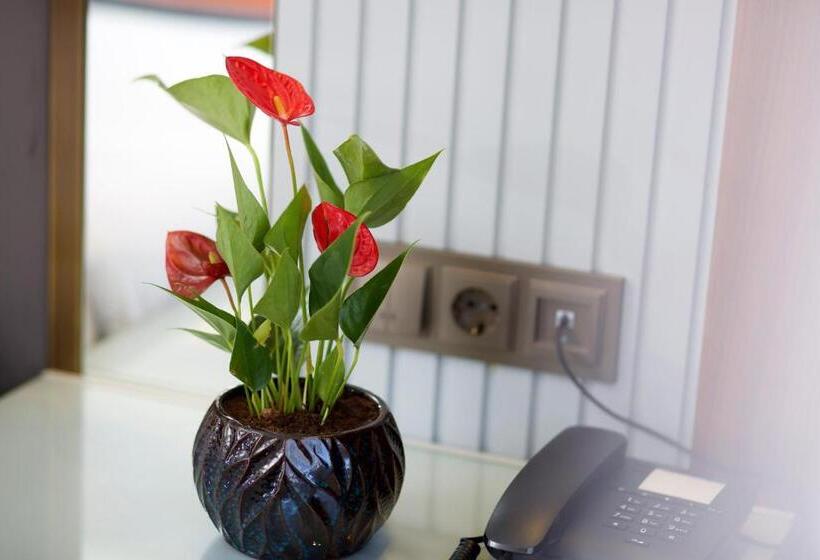 Economy Triple Room, Eyfel