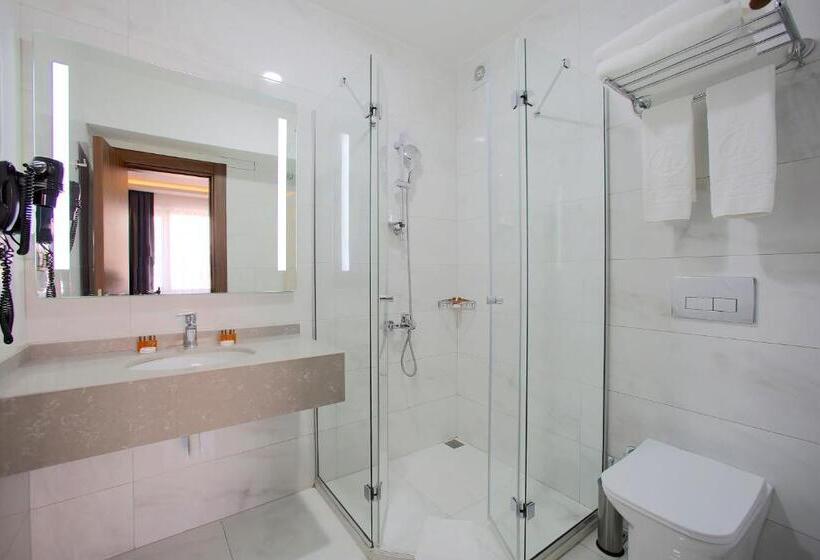 Economy Triple Room, Eyfel