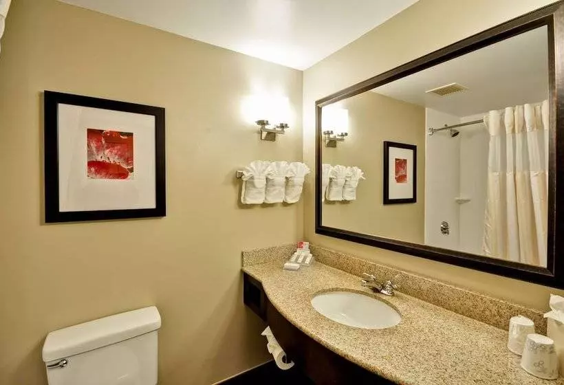 اتاق استاندارد, Hilton Garden Inn Tampa North Busch Gardens