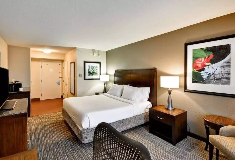 اتاق استاندارد, Hilton Garden Inn Tampa North Busch Gardens