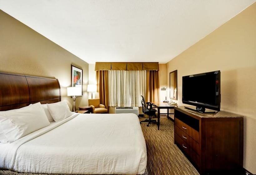 חדר סטנדרט, Hilton Garden Inn Tampa North Busch Gardens