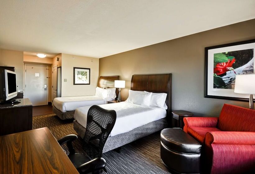 חדר סטנדרט, Hilton Garden Inn Tampa North Busch Gardens
