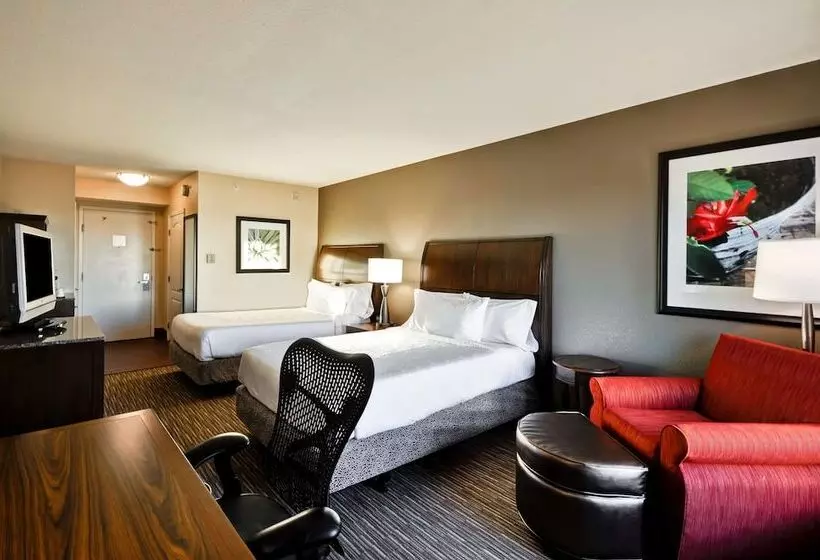 اتاق استاندارد, Hilton Garden Inn Tampa North Busch Gardens