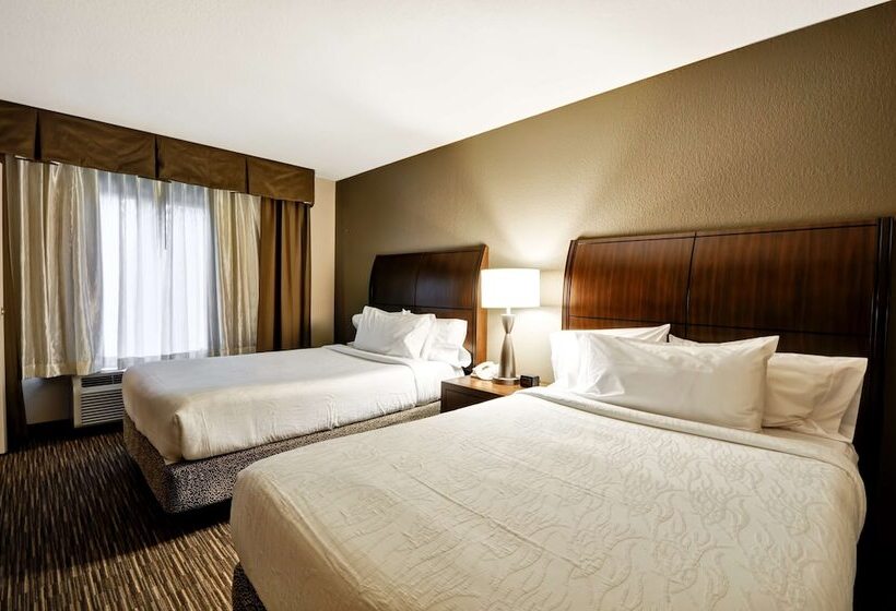 Номер Стандарт, Hilton Garden Inn Tampa North Busch Gardens