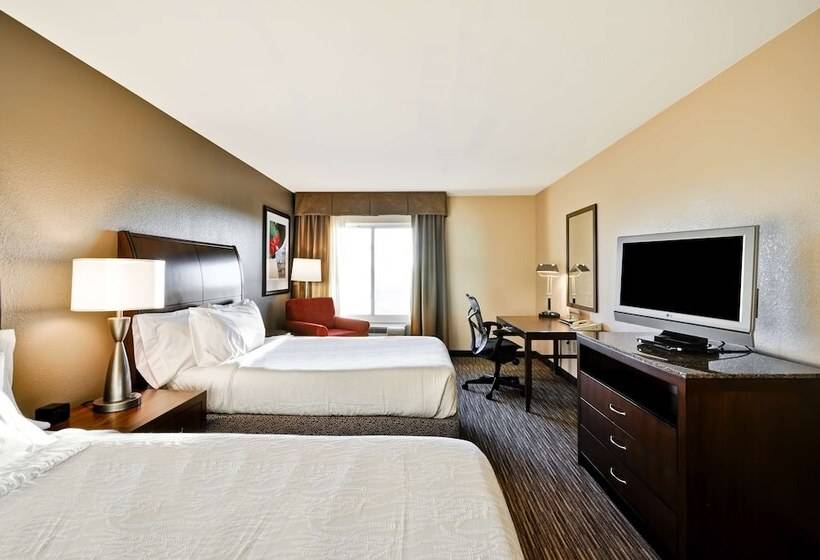 غرفة قياسية, Hilton Garden Inn Tampa North Busch Gardens