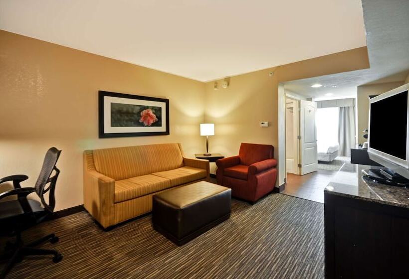 Номер Стандарт, Hilton Garden Inn Tampa North Busch Gardens