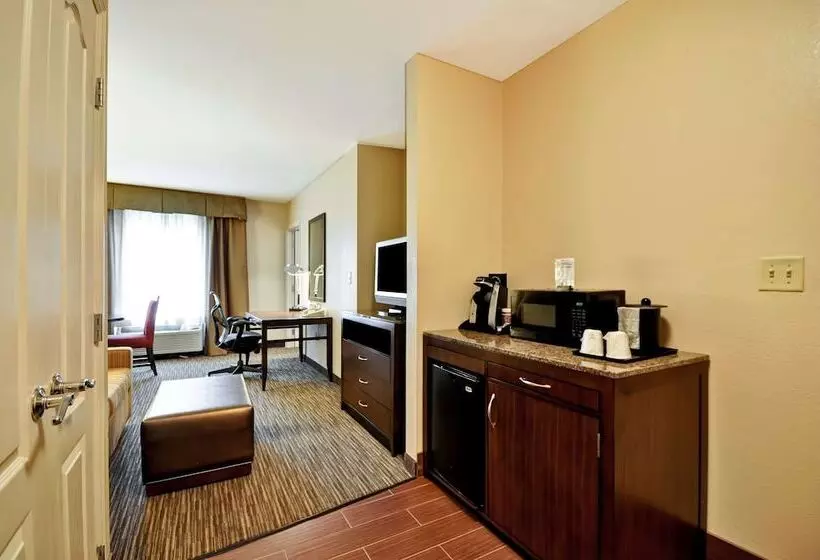 سوییت جونیور, Hilton Garden Inn Tampa North Busch Gardens