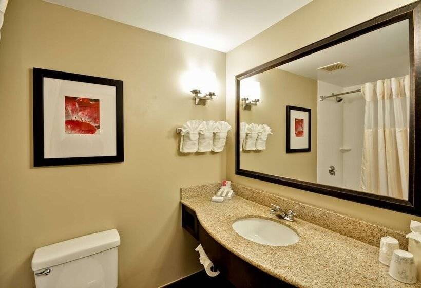 جناح جونيور, Hilton Garden Inn Tampa North Busch Gardens