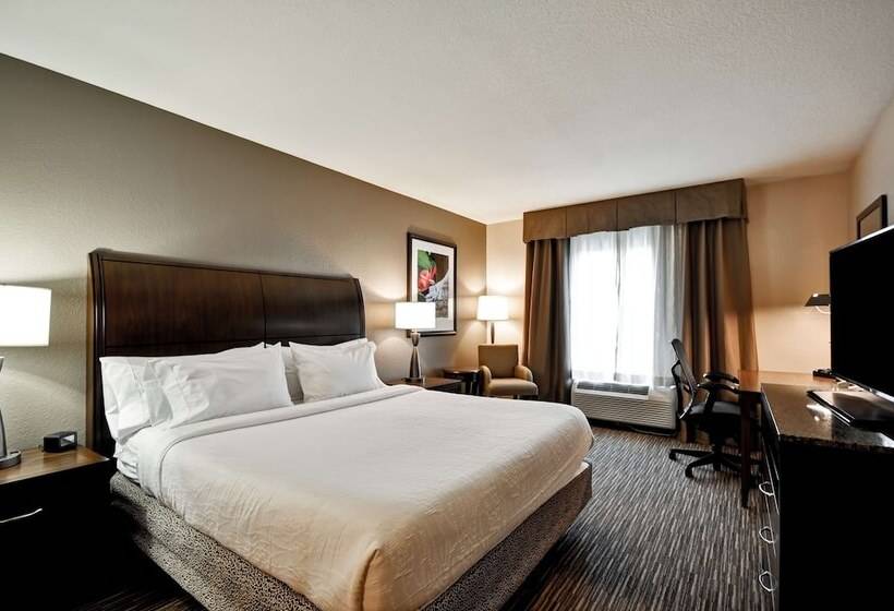 جناح جونيور, Hilton Garden Inn Tampa North Busch Gardens