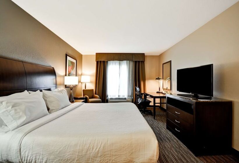 Полулюкс, Hilton Garden Inn Tampa North Busch Gardens
