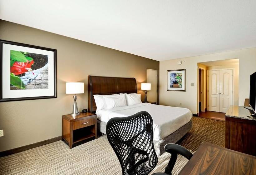 جناح جونيور, Hilton Garden Inn Tampa North Busch Gardens