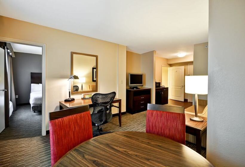 Полулюкс, Hilton Garden Inn Tampa North Busch Gardens