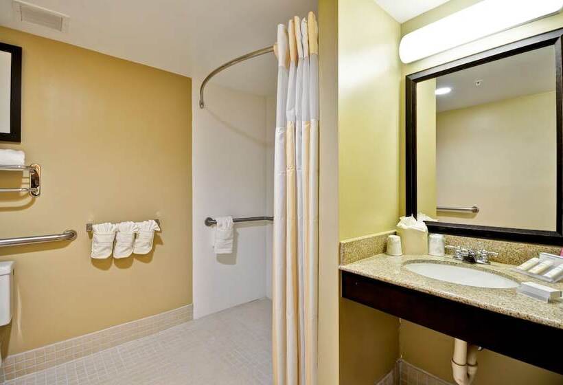 סוויטה מותאמת לאדם עם מוגבלויות, Hilton Garden Inn Tampa North Busch Gardens