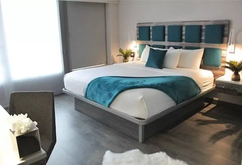 اتاق استاندارد با تخت بزرگ برای معلولان, Le Bleu