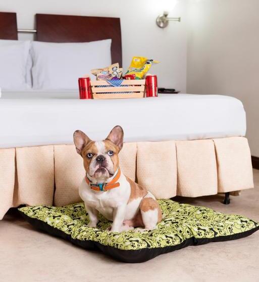 スタンダードシングルルーム, Plaza Las Americas Cali