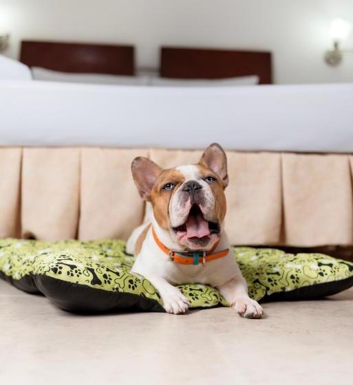 スタンダードトリプルルーム, Plaza Las Americas Cali