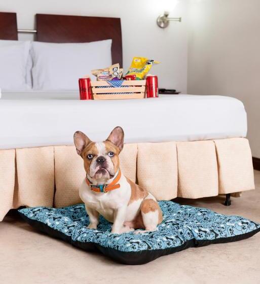 ジュニアスイート, Plaza Las Americas Cali