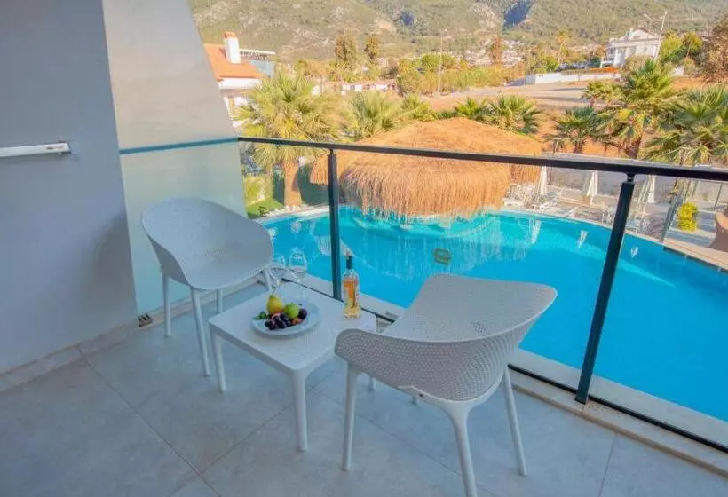 اتاق استاندارد با چشم‌انداز استخر, Orka World Hotel & Aquapark