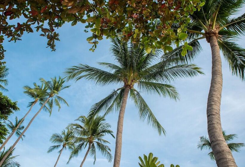 Standard Studio, Buri Rasa Village Samui - Adults Only +16