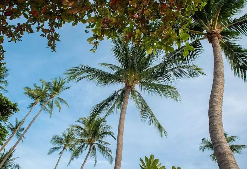 استودیوی استاندارد, Buri Rasa Village Samui - Adults Only +16