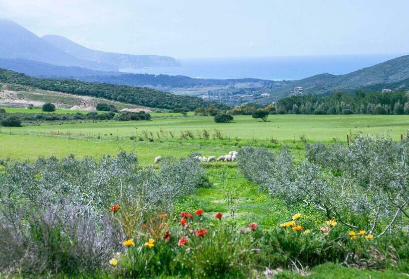 オーシャンビューデラックスルーム, Agriturismo Il Ginepro