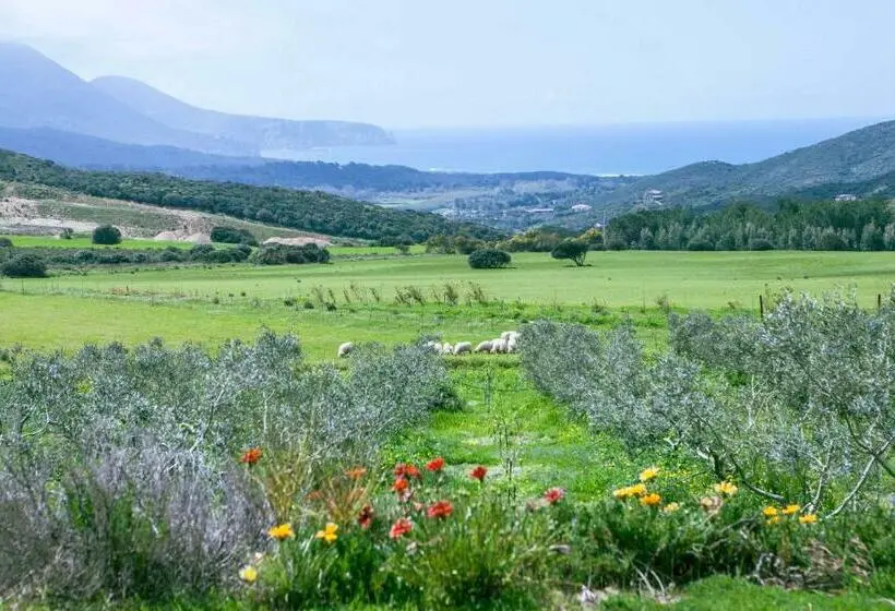 Deluxe-huone Merinäkymä, Agriturismo Il Ginepro