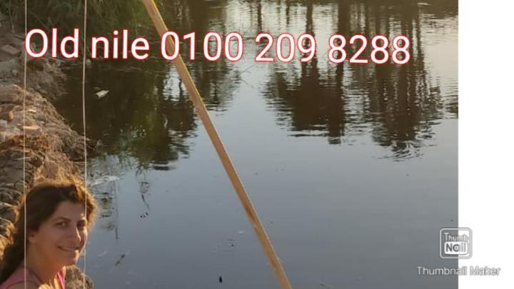 豪华房间, Luxor Old Nile