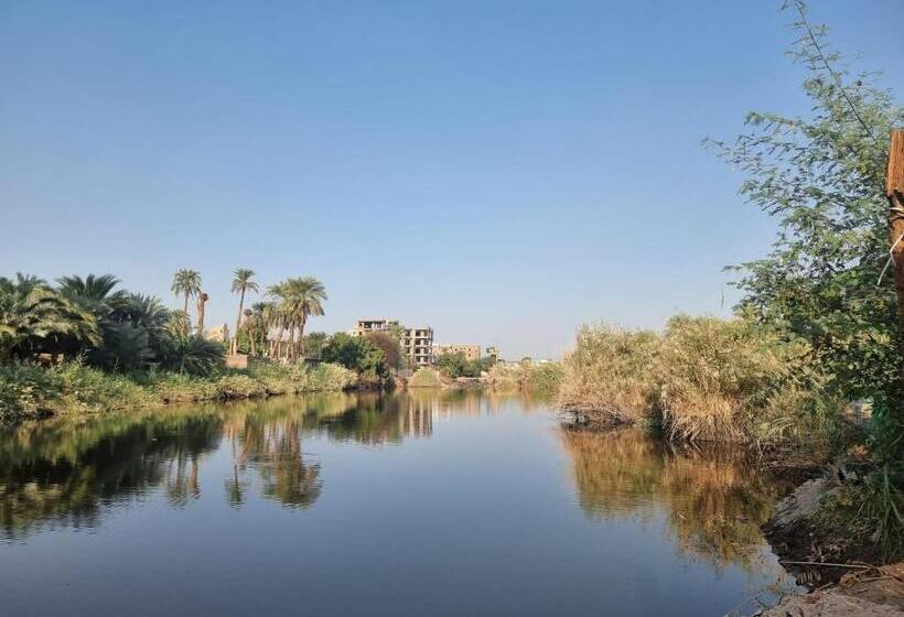 豪华房间, Luxor Old Nile
