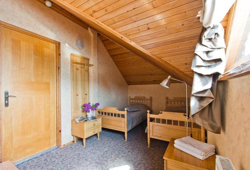 اتاق استاندارد با سرویس بهداشتی مشترک, Vila Vika