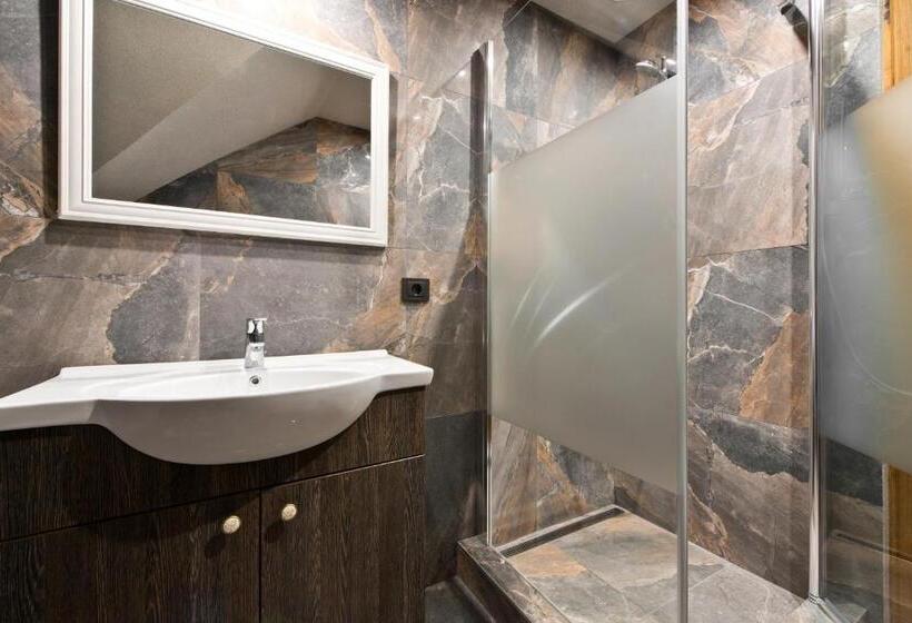 اتاق استاندارد با سرویس بهداشتی مشترک, Vila Vika