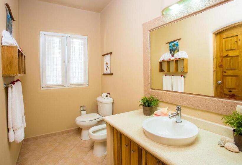 Appartamento 1 Camera da Letto, Alisei