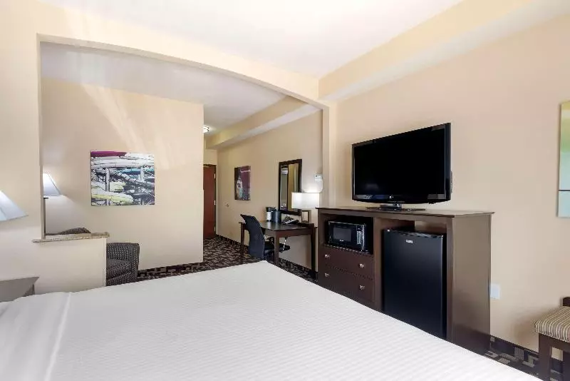 Standard-huone, Best Western Plus Arlington North