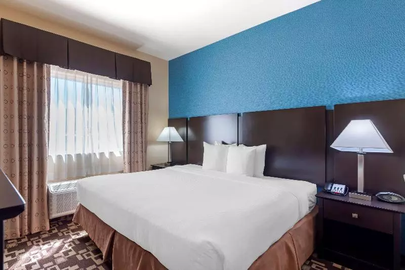 Standard-huone, Best Western Plus Arlington North